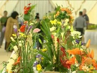 إبراز دور الزهور والخضروات في النظام البيئي