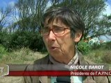 Les plantes de chênes ont été arrachées (Vendée)