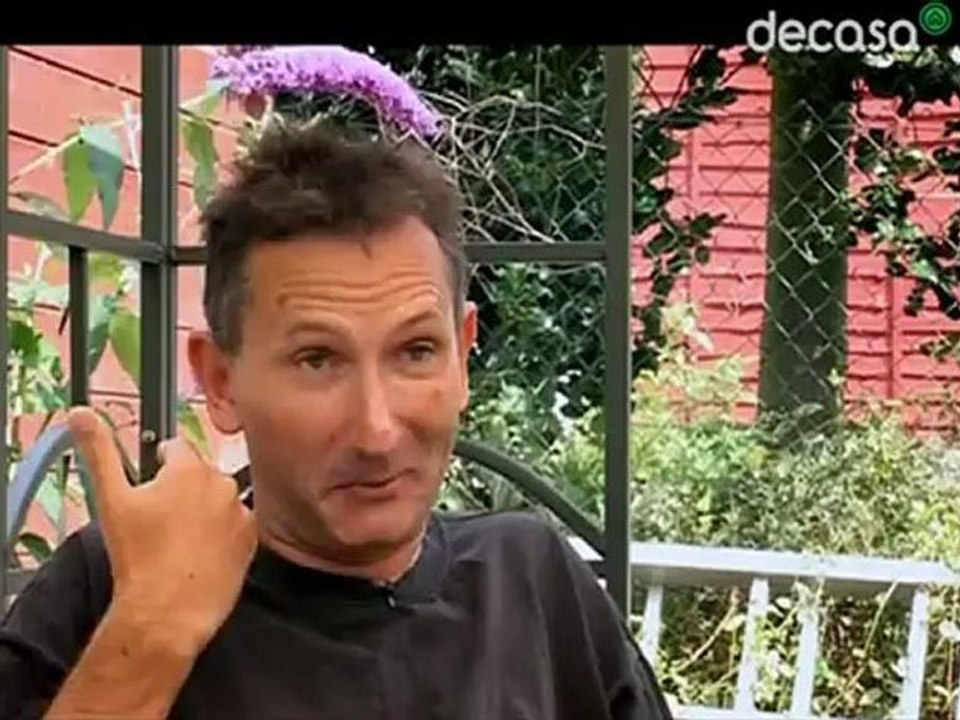 curar_con_plantas_Episodio 10 Pétalos