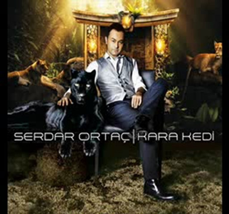 serdar- kara kedi