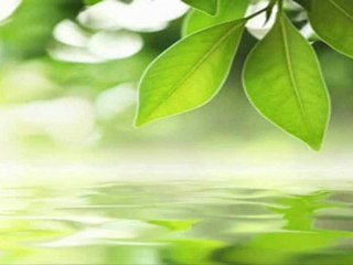 Dreamscape...(Victor Huynh)