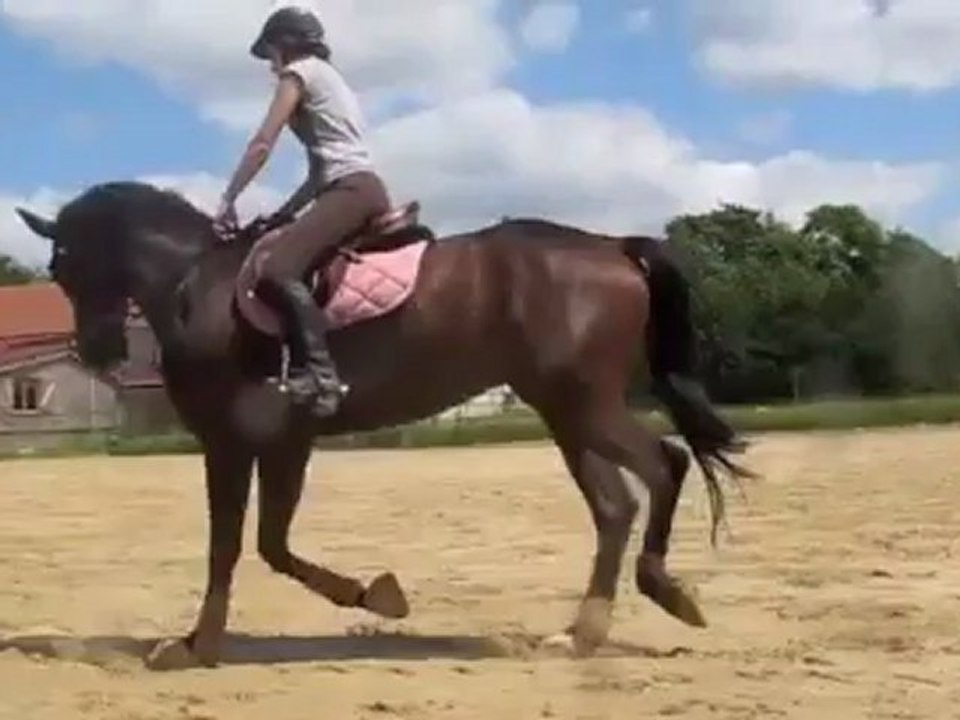 Séance Sylvain 23 06 12