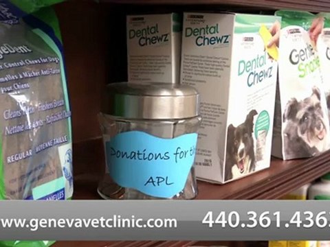 Welcome to Geneva Veterinary Clinic - Video