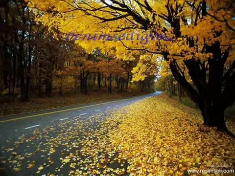 35 yaş şiiri_0001 izlenme rekorları kıran şiir ve fon müziği