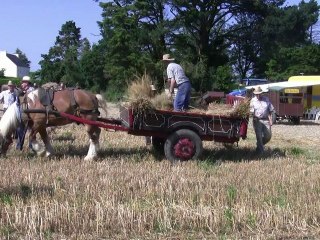 Foar Santez Katell e Mespaol