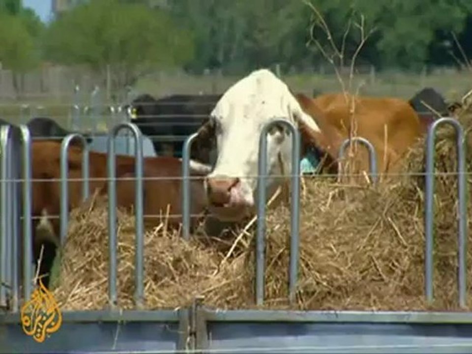 China eyeing Argentine beef