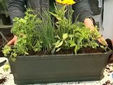 Faire une jardinière de plantes aromatiques