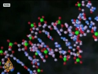 Arsenic-eating bacteria found