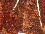 Lobster trade hits snags