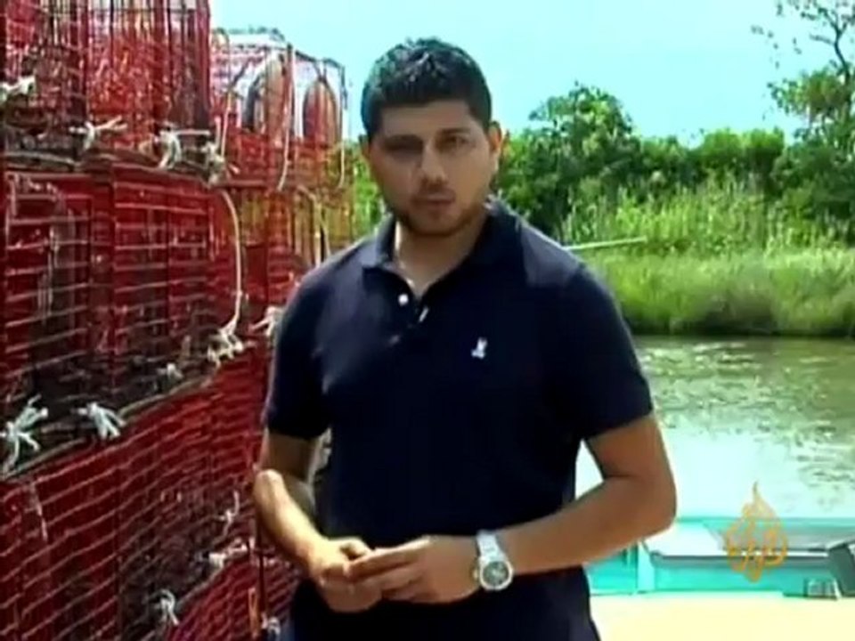 شح الثروة السمكية في المكسيك