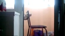 Гимнаст готовится к олимпиаде