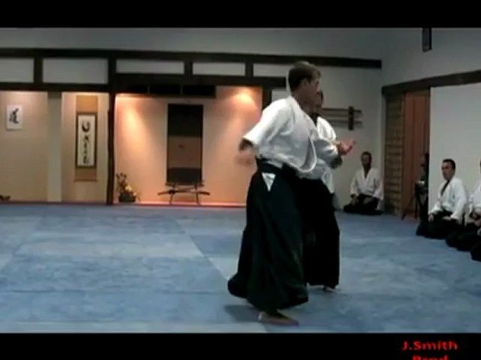 Aikido_Expert_Ren_VDB_-Portrait-seq-03