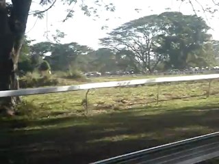 Kiwanis - Course de chevaux