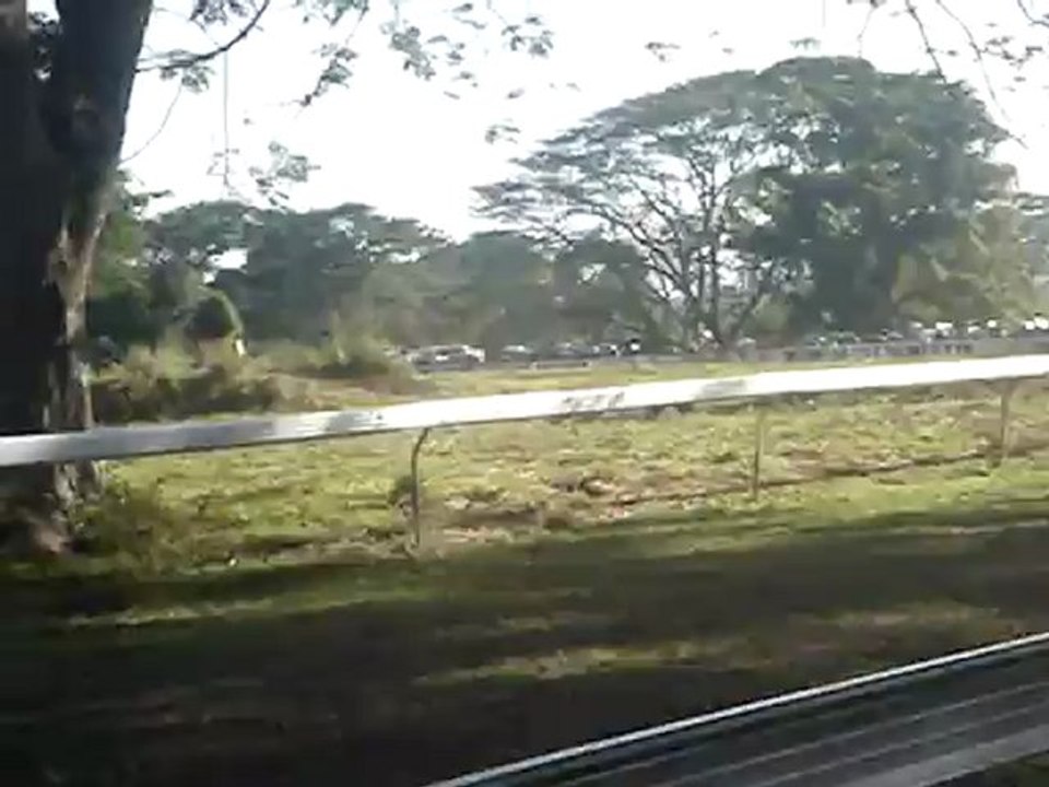 Kiwanis - Course de chevaux