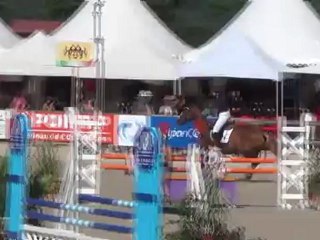 Les Bêtes de la Forêt  à Lamotte 23/07/12