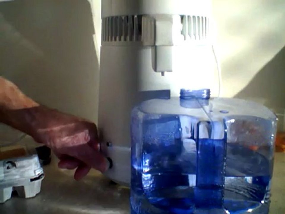 Suck it up with wheat grass Brian Leonard Golightly Marshall is God