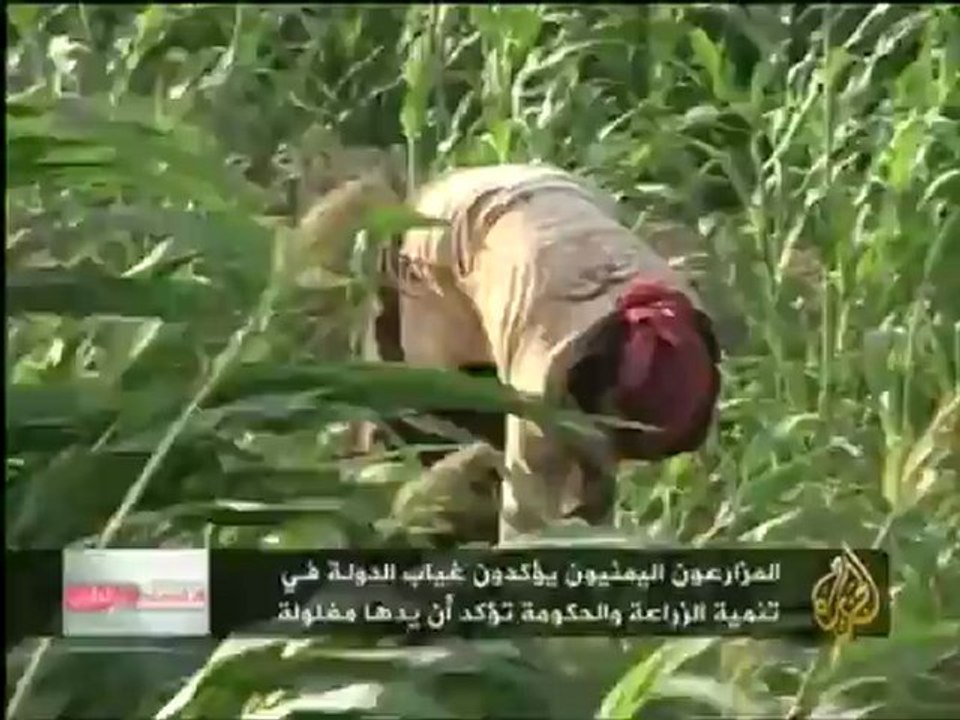 الاقتصاد والناس -- مشاكل الزراعة في اليمن