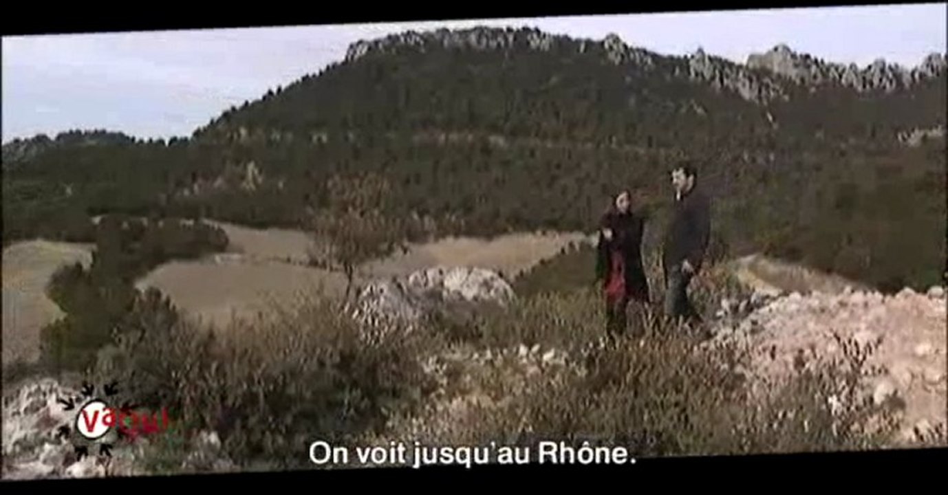 VAQUI à Vaqueyras
