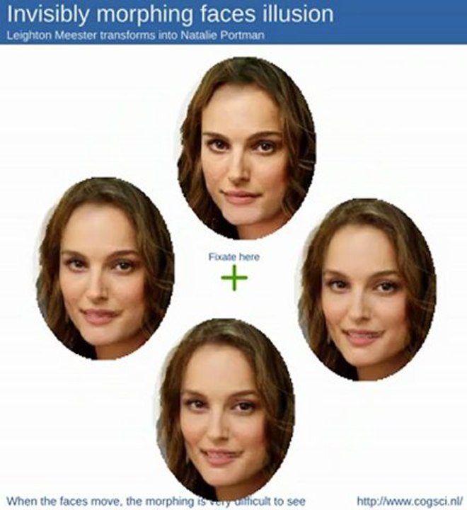 Optical illusion: Invisibly morphing faces