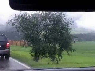 Autonom - Motivation zum Erfolg von Ernst Crameri