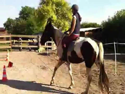 premiere séance sans mors~1