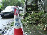 Hong Kong: blessés et arbres arrachés après le passage du typhon
