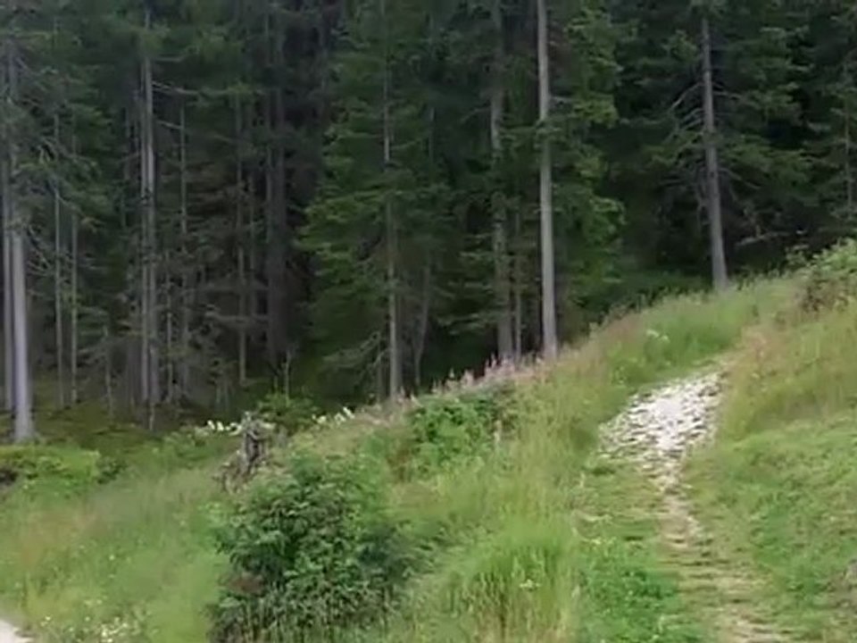 Alter - Motivation zum Erfolg von Ernst Crameri