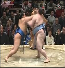 www.all-sport-online.ru | 4 сумо 2012 янв
