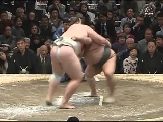 www.all-sport-online.ru | 7 сумо 2012 янв