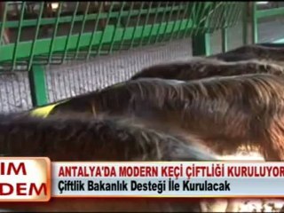 ANTALYA’DA MODERN KEÇİ ÇİFTLİĞİ KURULUYOR