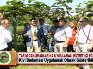TARIM DANIŞMANLARINA UYGULAMALI HİZMET İÇİ EĞİTİM