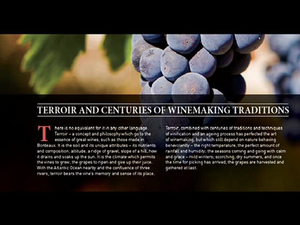 Blakeney Bridge | Region of Wine Production | Italy