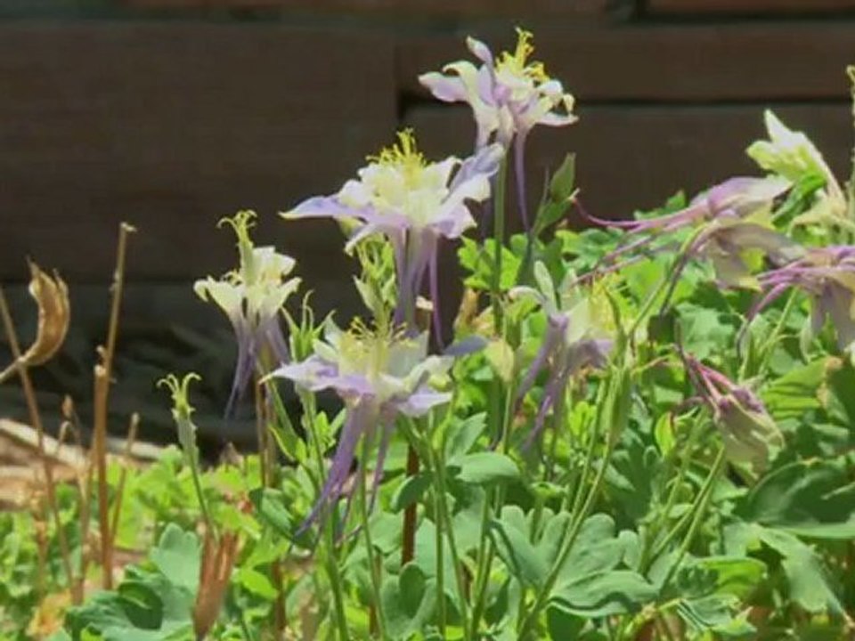 Columbine: Kino-Massaker weckt schlimme Erinnerungen