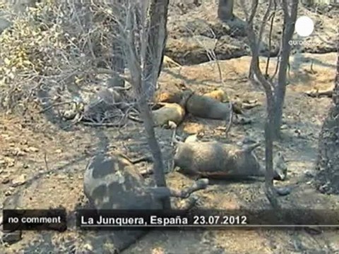 Gigantesque incendie en Catalogne - no comment