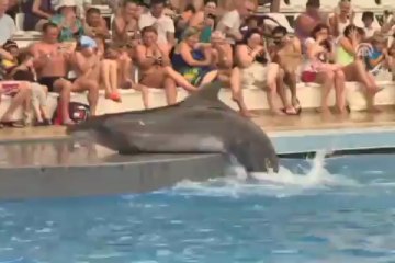 Beyaz balinadan unutulmaz dans