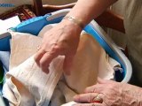 71-jarige uit Musselkanaal ontfermt zich over zwaluw - RTV Noord