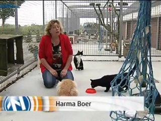 Het Weer [20-7-2012] - RTV Noord