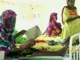 منظمات إنسانية تحذر من خطر سوء التغذية بساحل الافريقي