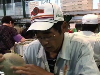 Secrets of the world's most expensive melons revealed