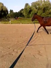 video-2012-07-21-18-46-56