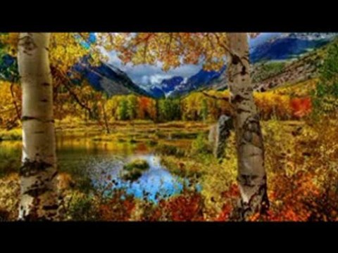 Müzeyyen Senar Ömrümüzün Son Demi