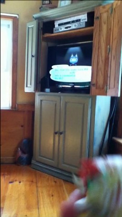 Animal Crossing: City Folk DS Suitcase