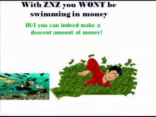 Make Legit  Money Online With ZNZ