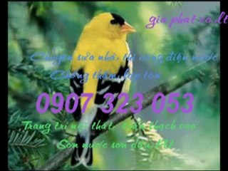 Cty chống thấm giá rẻ tai quận 10 call 0907 323 053