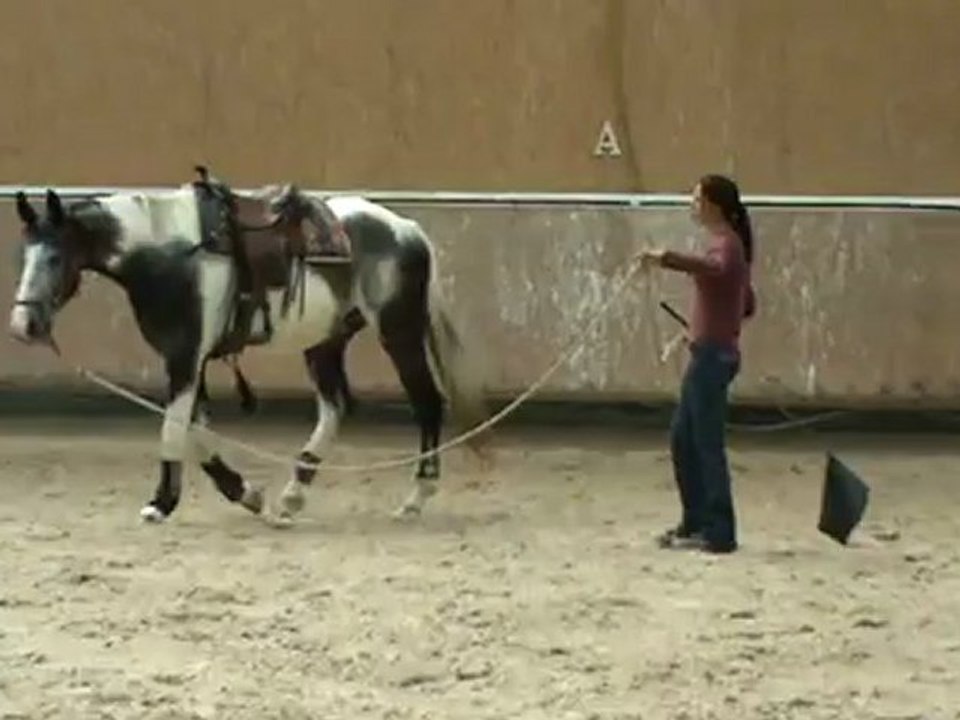 Transitions - large cercle trot et départ galop bien