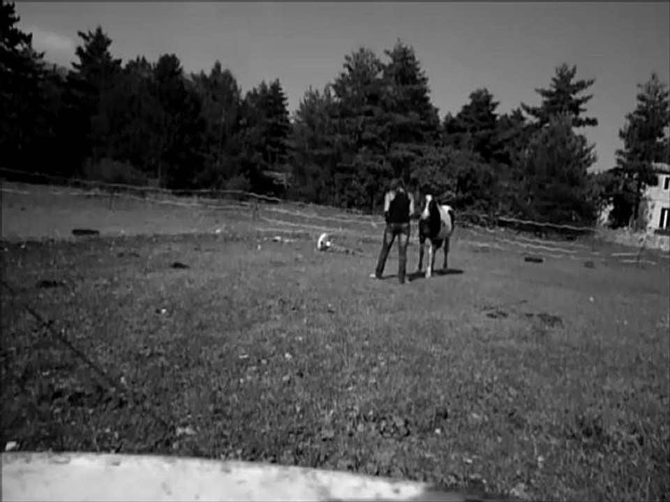 Mes pouliches en longe