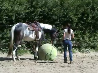 Le ballon - peut faire mieux..