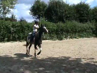 Monter - Cercle à gauche au trot