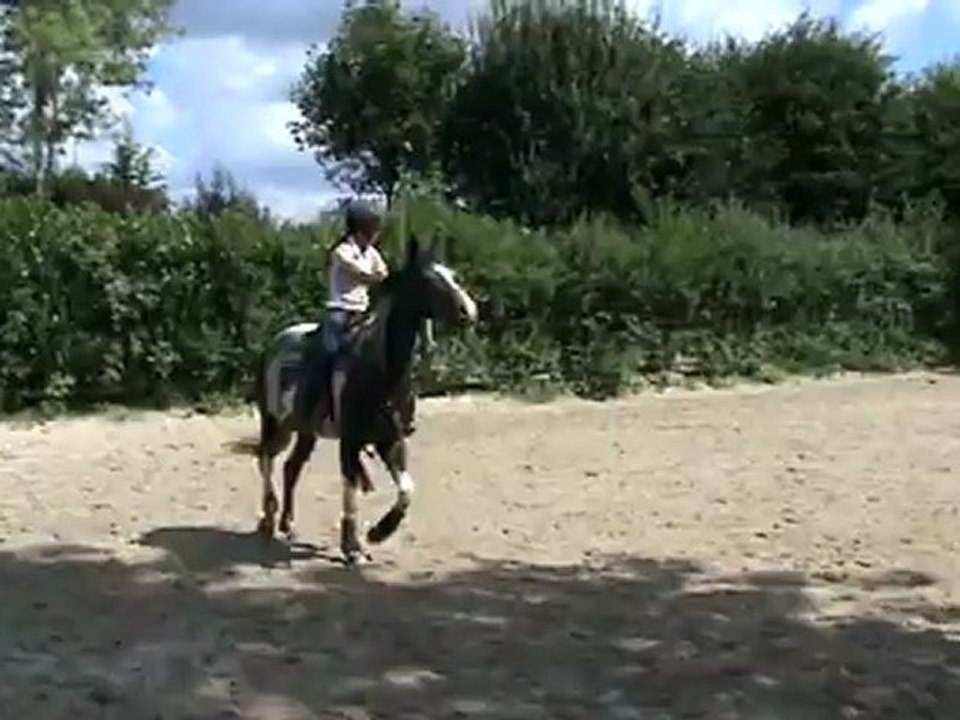 Monter - Cercle à gauche au trot