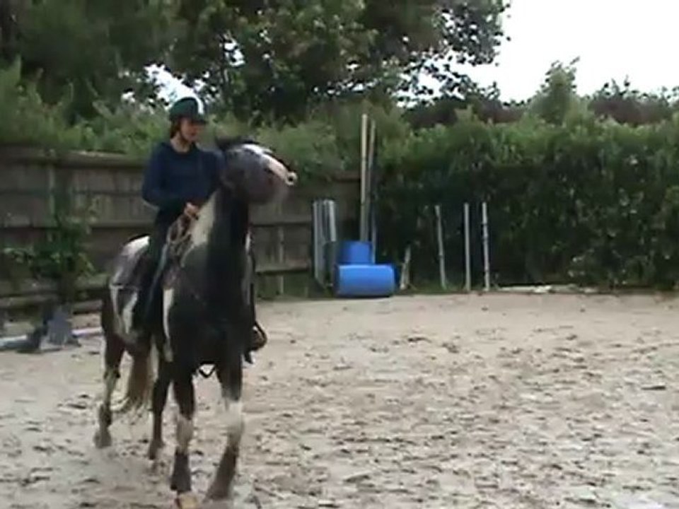 Monter - 1eres foulées de trot en cercle à gauche